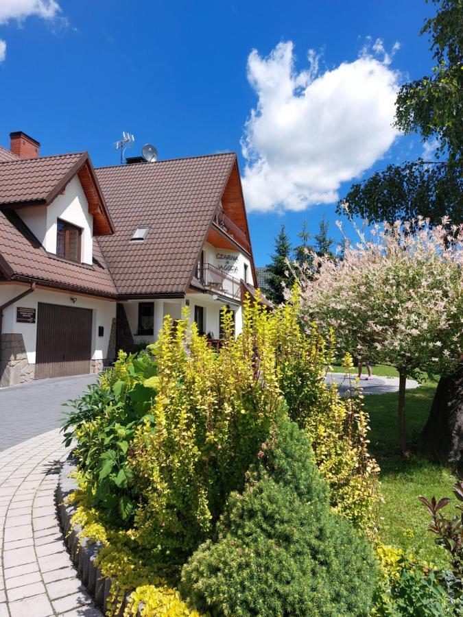 Czarna Jagoda Czarna Góra Exterior foto